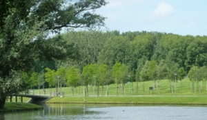 Zuiderpark 600x287 Zuiderpark 600x287